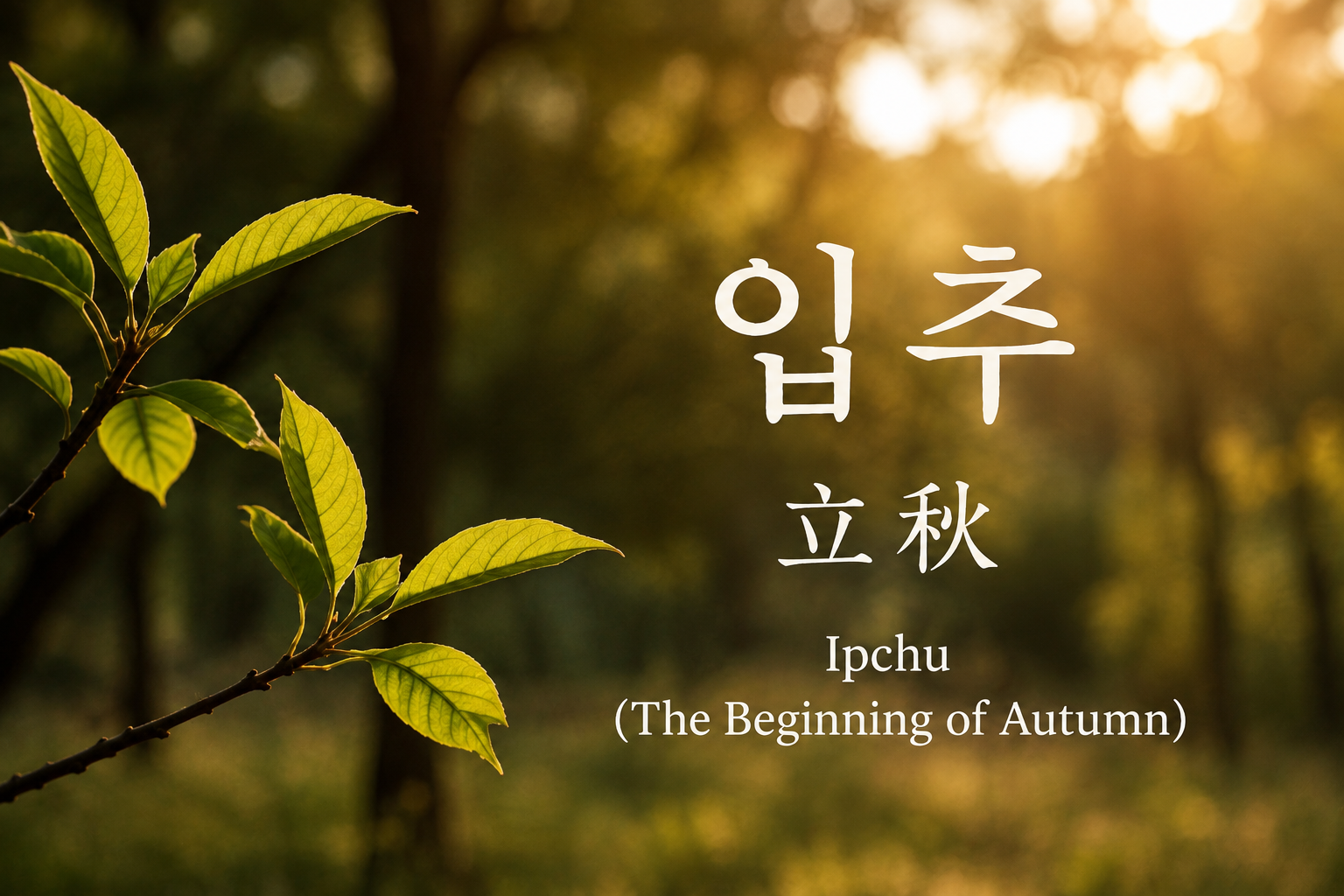 Ipchu in Korea and the changing seasons