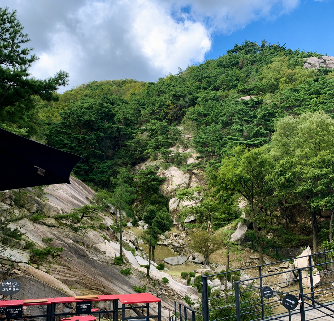 The Piano cafe surrounded by nature in Pyeongchang-dong Seoul